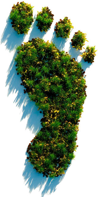 RECICLAR - Coagrisol